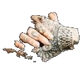 Logo Jxtattoo